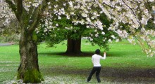 taichi