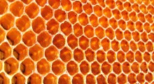 panel-abejas