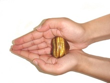proteccion