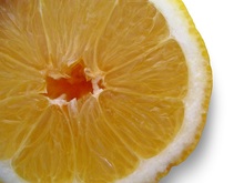 rodaja-limon