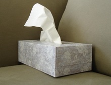 pañuelos-de-papel