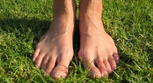 pies