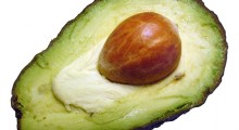 aguacate aguacate