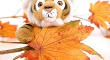 Tigre de peluche en la selva