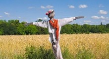 Espantapajaros
